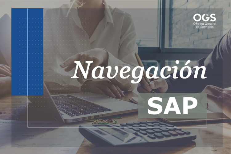 Navegación SAP